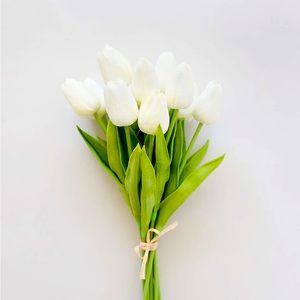 Meet your Posher, Ellen